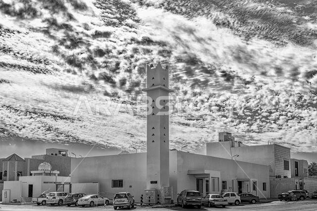 Mosques B&W