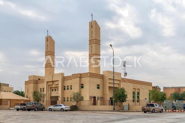Mosque - cloudy day