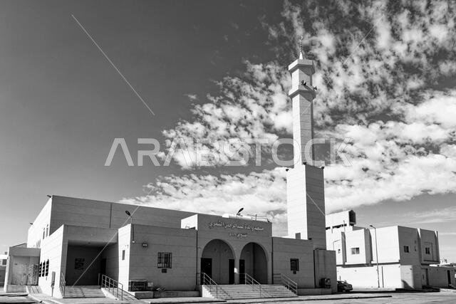 Mosques B&W