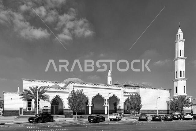 Mosques B&W