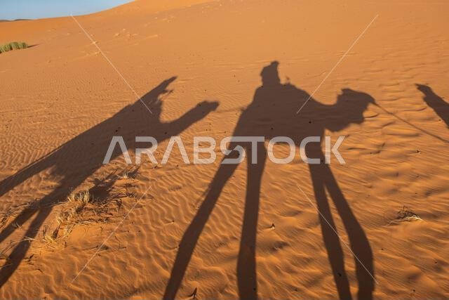 Shadows of a couple on camel dromedaries on the sand dunes Shadows of a couple on camel dromedaries on the sand dunes