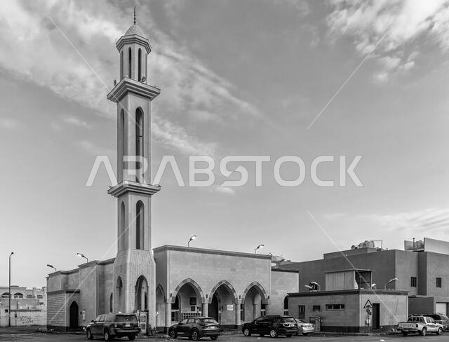 Mosque #22 B&W