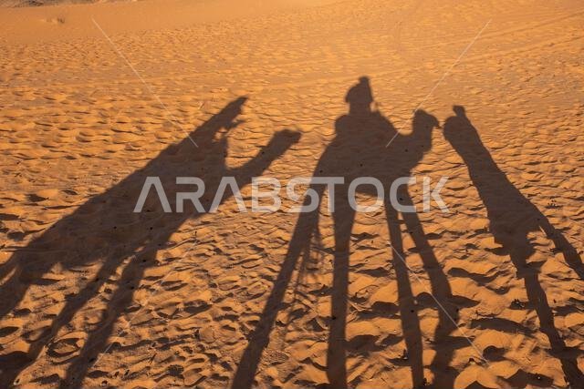 Shadows of a couple on camel dromedaries on the sand dunes