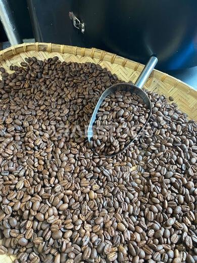 Coffee beans originating from Aceh, Central Gayo which are treated very well and produce high quality coffee beans Coffee beans originating from Aceh, Central Gayo which are treated very well and produce high quality coffee beans