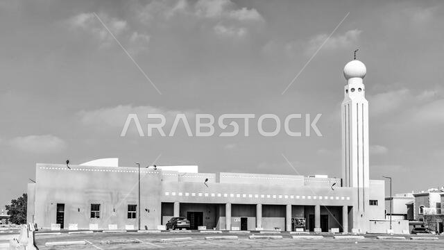 مساجد بالأبيض والأسود