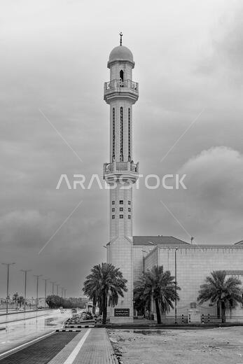 مئذنة #2 أبيض وأسود مئذنة #2 أبيض وأسود