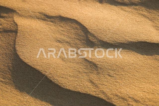 المناظر الطبيعية الصحراوية والجولات السياحية في الإمارات العربية المتحدة.