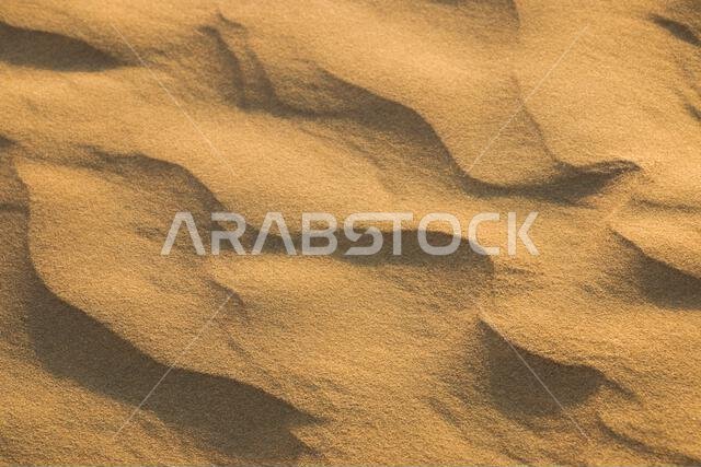 Desert landscape and touring United Arab Emirates.