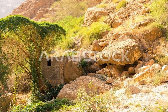 وادي شاب في عُمان