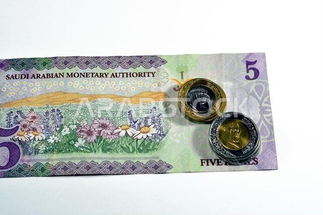 Reverse side of 5 SAR five Saudi Arabia riyals cash money banknote bill series 1438 AH features a field of flowers with 1 and 2 riyals coins change is