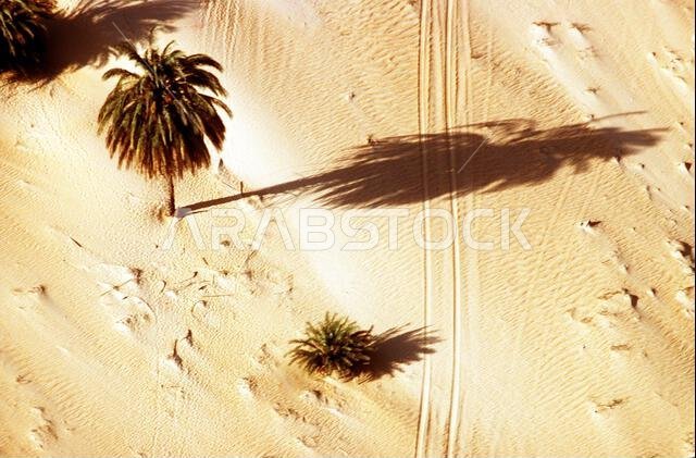 An aerial view of vehicle tracks crossing the sand during Operation Desert Shield. Subject Operation/Series: DESERT SHIELD Country: Saudi Arabia (SAU)