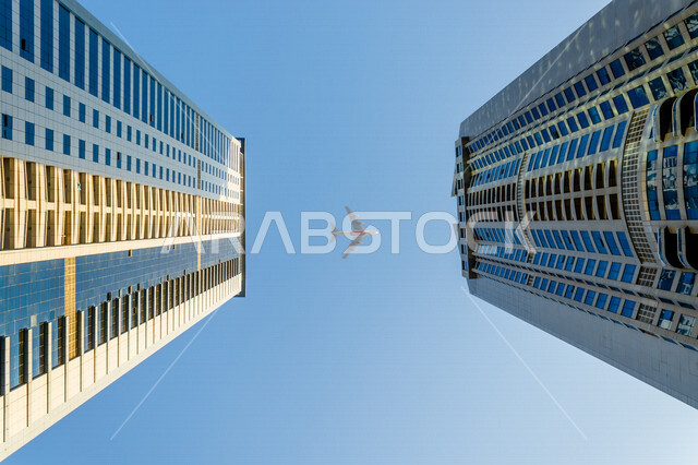 صورة جمالية بزاوية من الأسفل لأبراج إمارة الشارقة بدولة الإمارات العربية المتحدة ، الفن الهندسي المعماري في الإمارات ، أبراج الشارقة ، معالم سياحية مشهورة بالإمارات ، الأبراج وناطحات السحاب ، طائرة تحلق في سماء الإمارات