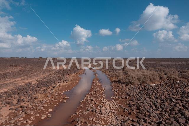 Desert terrine of Saudi Arabia