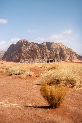 Red Desert in northern Saudi Arabia taken in January 2022 Red Desert in northern Saudi Arabia taken in January 2022