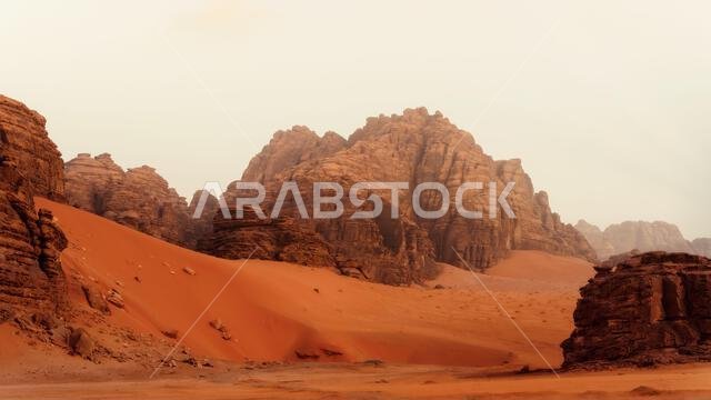 شجرة في وسط الصحراء، تم التقاطها في مايو 2022