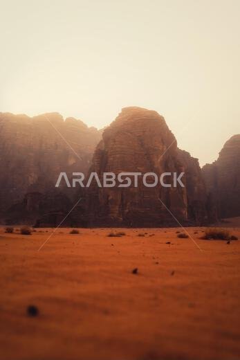 شجرة في وسط الصحراء، تم التقاطها في مايو 2022