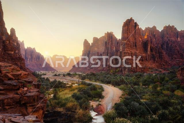 وادي الديسة في المملكة العربية السعودية، تم التقاط الصورة في يناير 2022 وادي الديسة في المملكة العربية السعودية، تم التقاط الصورة في يناير 2022