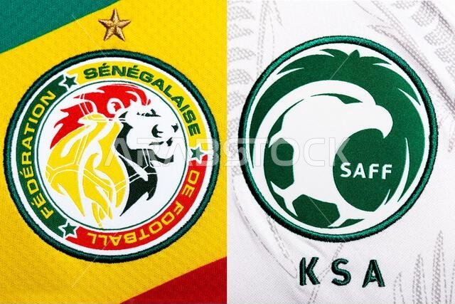 Close up of National Football team crest on home kit. FIFA World Cup Qatar 2022.