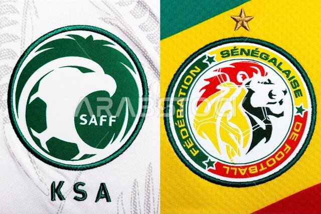 Close up of National Football team crest on home kit. FIFA World Cup Qatar 2022.