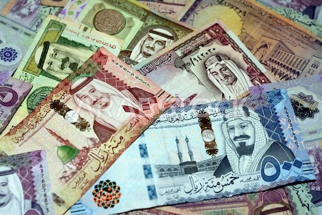 تضم مجموعة العملات الورقية من الريال السعودي، والتي تعود إلى فترات زمنية وقيم مختلفة، صورًا لملوك آل سعود، مع تركيز انتقائي على...