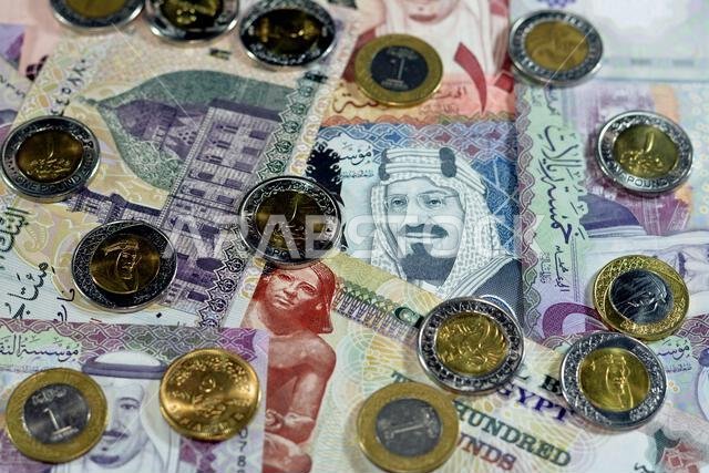 الجنيهات المصرية نقداً (أوراقاً نقدية وعملات معدنية) مقابل العملات السعودية (أوراقاً نقدية وعملات معدنية)، وأسعار صرف العملات السعودية والمصرية، والنفط والغاز