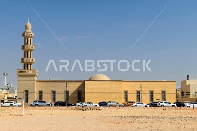 المساجد