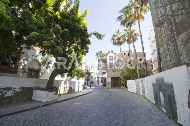 Creative image of a street in the historic downtown of Jeddah, Saudi Arabia, the historical city of Jeddah, ancient Arab architectural design, trees and plants, historical landmarks in Jeddah, tourism in Saudi Arabia