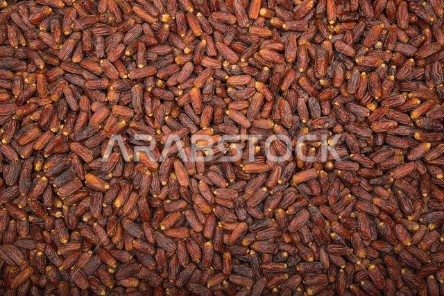 من ثمار تمور المدينة المنورة المملكة العربية السعودية عجوة صقعي صفاوي مجدول لبانا مبروم خضري عنبرة من ثمار تمور المدينة المنورة المملكة العربية السعودية عجوة صقعي صفاوي مجدول لبانا مبروم خضري عنبرة