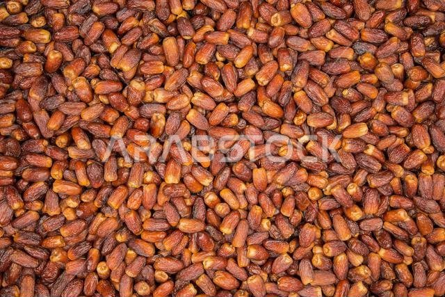 من ثمار تمور المدينة المنورة المملكة العربية السعودية عجوة صقعي صفاوي مجدول لبانا مبروم خضري عنبرة من ثمار تمور المدينة المنورة المملكة العربية السعودية عجوة صقعي صفاوي مجدول لبانا مبروم خضري عنبرة