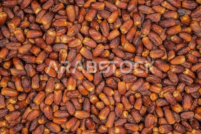 From the fruits of Madinah Al-Munawwarah dates, Kingdom of Saudi Arabia, Ajwa, Sagai, Safawi, Majdoul, Lubana, Mabroum, Khudari, Anbara