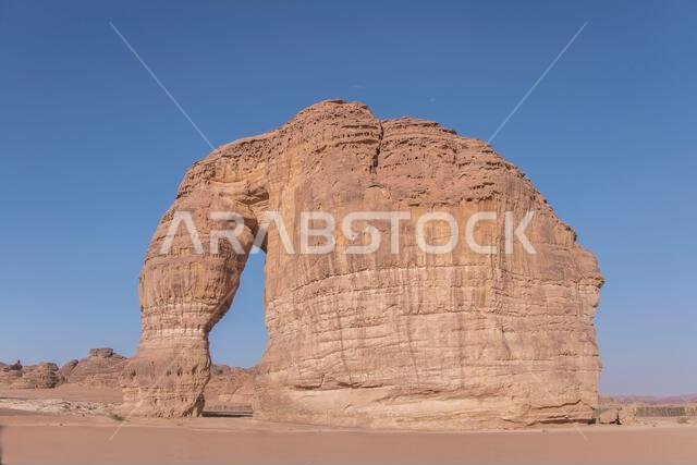 صخرة الفيل، العلا، المملكة العربية السعودية ٢