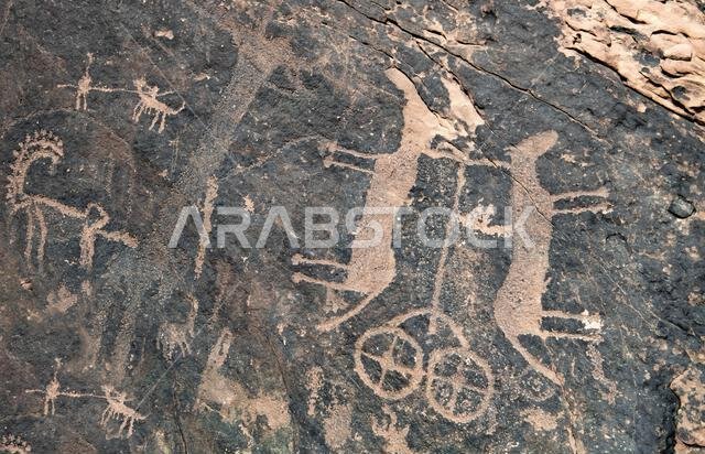 Two horses and chariot circa 1000BC Jubbah Saudi Arabia