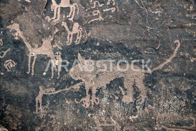 Camels and man fighting lion circa 5000 BC Jubbah Saudia Arabia