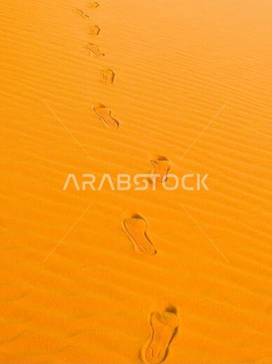 Footprints in the sand