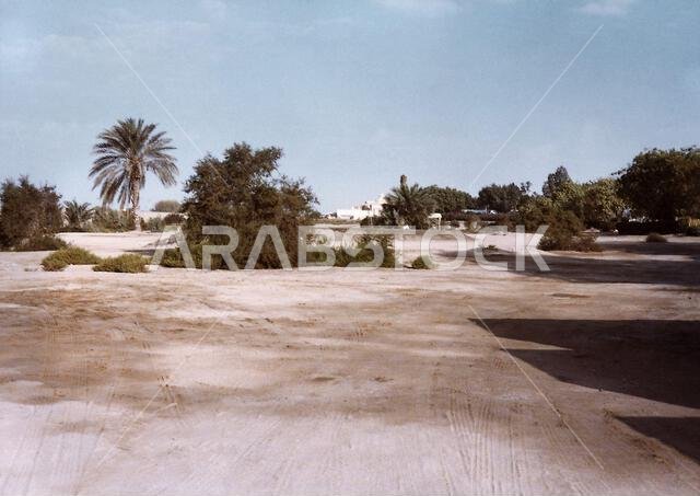 Jeddah - Recreation/Community Center/Gym/Theater - 1985, United States photographs Related to Embassies, Consulates, and Other Overseas Buildings Jeddah - Recreation/Community Center/Gym/Theater - 1985, United States photographs Related to Embassies, Consulates, and Other Overseas Buildings