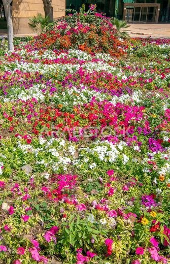 حديقة ملونة، حديقة ومنتزه المتحف الوطني، الرياض، المملكة العربية السعودية
