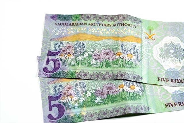 يُظهر الوجه الخلفي للورقة النقدية الجديدة المصنوعة من البوليمر فئة 5 ريالات سعودية، من سلسلة 1441 هـ 2020، حقلاً من الزهور، مع تركيز انتقائي