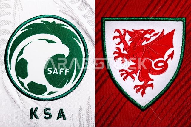 Close up of National Football team crest on home kit. FIFA World Cup Qatar 2022.