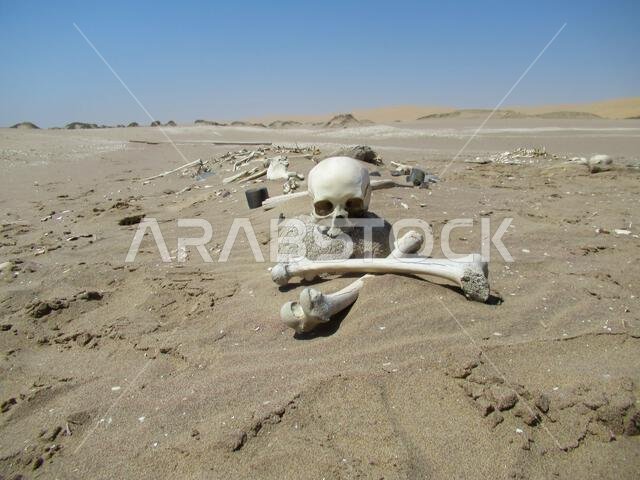 The "Skeleton Coast", where the Namib Desert meets the Atlantic Ocean in south-western Africa, is named after the bleached bones and shipwrecks. The "Skeleton Coast", where the Namib Desert meets the Atlantic Ocean in south-western Africa, is named after the bleached bones and shipwrecks.