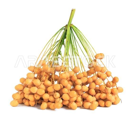dates fruit, bunch of dates isolated on white background.