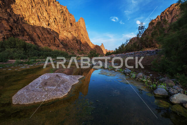 A creative image of nature in the city of Al-Ula in the Kingdom of Saudi Arabia, historical and archaeological tourist attractions, the beauty of desert nature, rock formations and formations in the province of Al-Ula, trees and plants, tourism in Saudi A