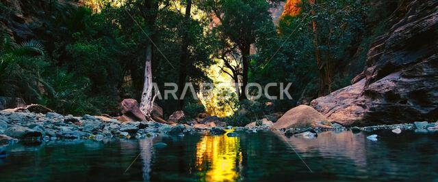 A valley surrounded by trees, rocks and a river.