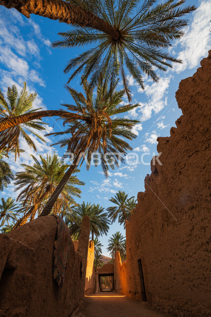 صورة ابداعية لبيوت طينية تاريخية في المملكة العربية السعودية، اماكن اثرية، اشجار النخيل، المعالم التاريخية القديمة في السعودية، السياحة في السعودية
