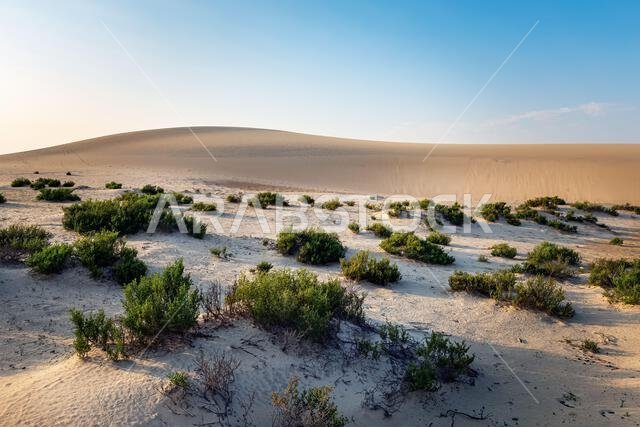 Beautiful Desert landscape view in Dammam Saudi Arabia