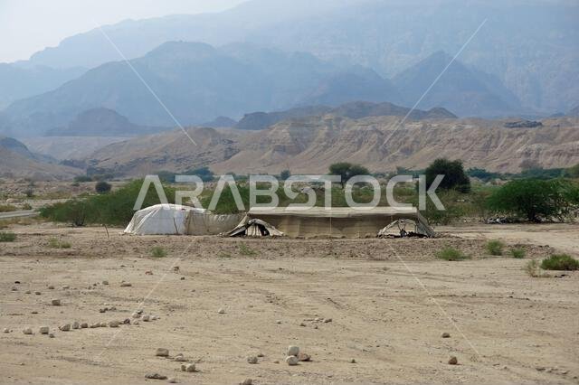landscape of a nomad camp in the desert in the middle east without people