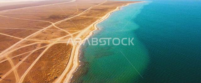 Aerial view of shoreline