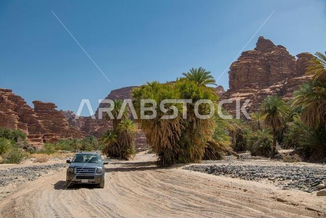 4WD on sand track  Wadi Disah Tabuk Province Saudi Arabia
