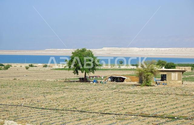 Village huts of a desert nomad camp near the sea in the Middle East in summer