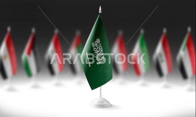 العلم الوطني للمملكة العربية السعودية على خلفية أعلام دول أخرى