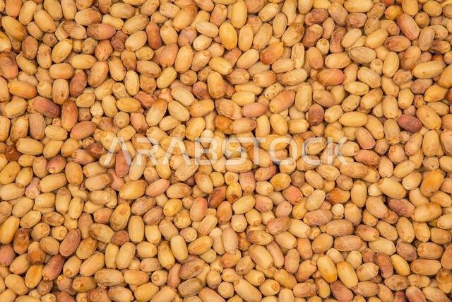من ثمار تمور المدينة المنورة المملكة العربية السعودية عجوة صقعي صفاوي مجدول لبانا مبروم خضري عنبرة من ثمار تمور المدينة المنورة المملكة العربية السعودية عجوة صقعي صفاوي مجدول لبانا مبروم خضري عنبرة